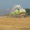 A combine harvesting in rural Somerset