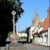 A picture of Digby
