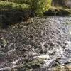 Man-made stream near the lead mines by Allendale.