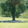 Taking advantage of the shade, Yorkshire Dales finest sheep July 2006