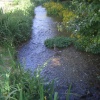 Stream in Winkle Street, Calbourne, Isle of Wight.