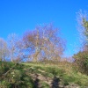 Walking round the Lake in Arundel, West Sussex