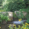 Stream in Winkle Steet, Calbourne, Isle of Wight.