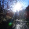 Sunrays - Swanbourne Lake, Arundel, West Sussex