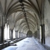 Cloisters of Norwich Cathedral.