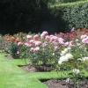 Anglesey Abbey, Near Cambridge