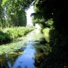 Anglesea Abbey, Near Cambridge.  - The river near Lode Mill