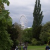 York Eye