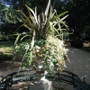 Swiss Garden, Old Warden, Bedfordshire - October 2005