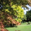 Swiss Garden, Old Warden, Bedfordshire