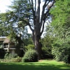 Swiss Garden, Old Warden, Bedfordshire