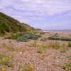 Dunwich, Suffolk - June 2006