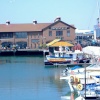 A picture of Brighton