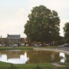 Duck Pond