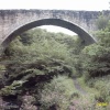 A picture of Causey