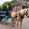 Horse Carriage in Cockington, Devon