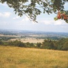 Berrys