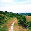 A picture of Cissbury Ring