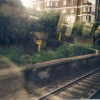 A picture of Chelsea