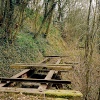 The old tramway in Dudley forest in the W. Midlands. The tramway closed in 1949.