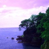 cove at Dartmouth, Devon