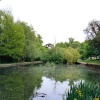 A picture of Lewes