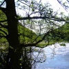 This photo was taking at Dove Dale near Stoke on trent