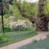 Glendurgan Garden, Nr Helford, Cornwall. - 