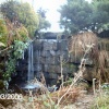 the waterfall between silt lake and campbells in tilgate park, tilgate, crawley, west sussex