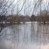 West End Pond. Nr. Esher, Surrey, England