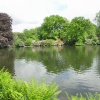 Lake at Dunham Massey, Altrincham, Cheshire.