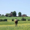 Norton in the moors, Staffordshire.