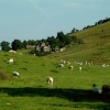 Stannery near Glutton Bridge, Derbyshire