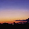 A picture of Barking