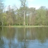 Lake in Bushey Park, - Near Hampton Court, London