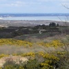 Looking towards Poole Bay across Studland, Dorset