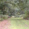 Attingham park, Shropshire