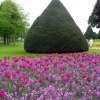 The gardens at Hampton court in May 2006.