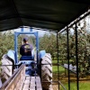 A picture of Callestock Cider Farm