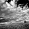 Salisbury plaine. West Lavington, Wiltshire