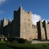The Gardens and Maize - in front of Castle Bolton