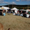 Farmer Phils festival, ratlinghope, Nr Shewsbury