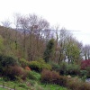 Looe Monkey Sanctuary. April 2005