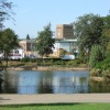 A picture of Arnold