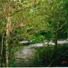 Thornton-le-Dale Duck pond