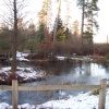Winter in Tilgate Park, Crawley