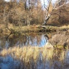 Small tarn (actually a disused reservoir), a lovely spot on Holme Fell near Little Langdale.