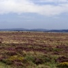 LANDSCAPES IN BODMIN MOOR