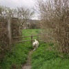 Public right of way by the River Medway in Wouldham, Kent
