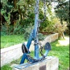 A picture of Marton